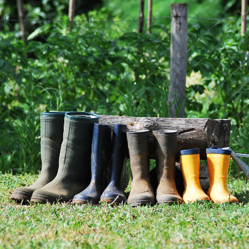 Four pairs of rubber boots lined up on the grass in front of a wooden bench.