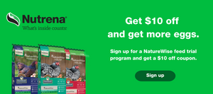 Nutrena NatureWise chicken feed promotion. The image features a chicken wearing a green hat and scarf standing outdoors with autumn foliage in the background. The text reads, 'Fowl feed for foul weather.' On the right side, there is a green button that says 'Buy a Bag Today' with 'On sale now' written below it. A row of NatureWise feed bags is displayed at the bottom. The Nutrena logo is in the top right corner.