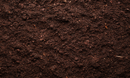 Dark brown soil with small roots emerging from it, showing natural texture and color variations.